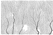 Growth - 50 Backgrounds, a Texture Graphic by GarryKillian (Thumbnail 32 of 51)