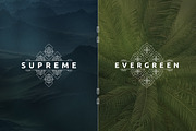 [Spring Vibes] 40 Mosaic Logos -50%, a Branding & Logo Template by VP Fonts (Thumbnail 10 of 27)