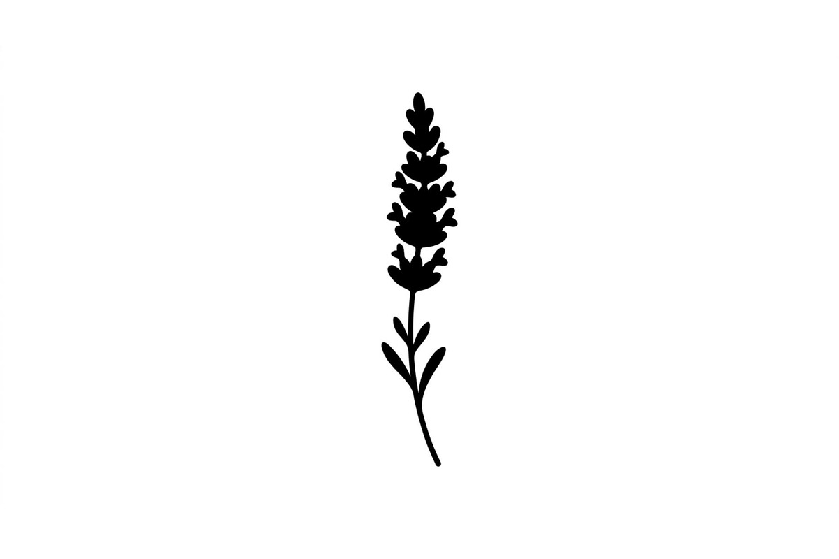 Lavender Stem Silhouette Collection, an Object Graphic by Creativeshirt (Photo 2 of 3)