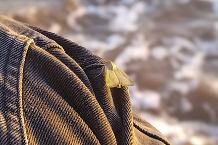 Yellow Helicopter preview 6