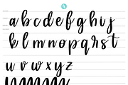 Harlow Procreate Brush, a Brush Add-On by Cate Shaner (Thumbnail 2 of 4)