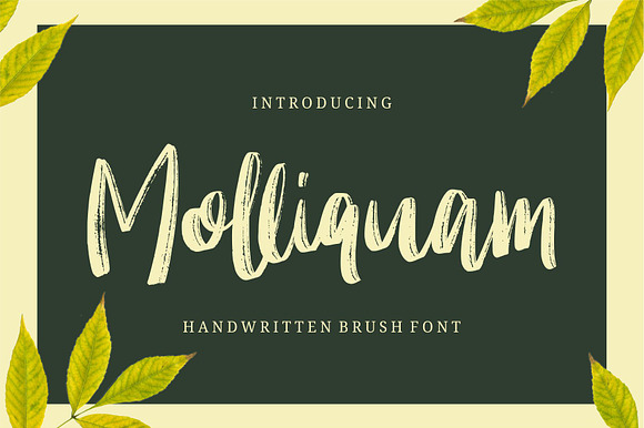 Molliquam Handwritten Font