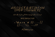 Delightis Script, a Script Font by khurasan (Thumbnail 5 of 5)