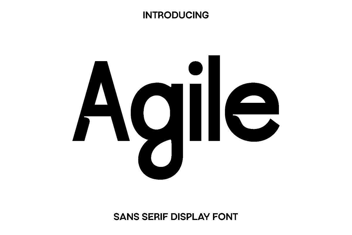 Agile - Sans Serif Display Font, a Sans Serif Font by Luna Shop (Photo 1 of 5)