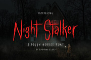Night Stalker - Rough Font, a Script Font by Alpaprana (Thumbnail 1 of 12)