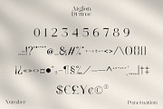Aiglon Drame - Modern Ligature Serif, a Serif Font by erlosDESIGN (Thumbnail 11 of 13)