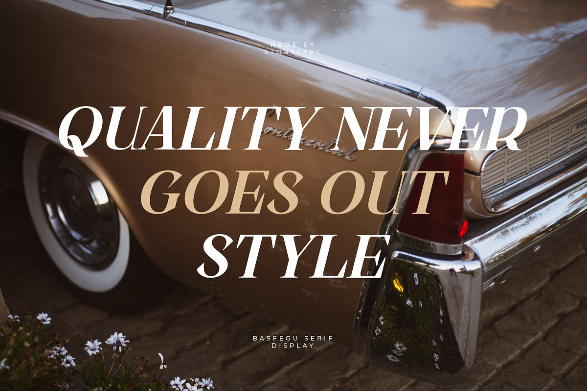 Basfegu A New Display Serif Font, a Serif Font by Storytype Studio (Photo 8 of 15)