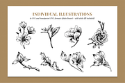Botanical Illustration Bundle, an Illustration by Rough Edges Supply Co. (Thumbnail 6 of 17)