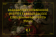 Drivex - Classy & Unique Serif Font, a Serif Font by overlaytemplates (Thumbnail 5 of 5)