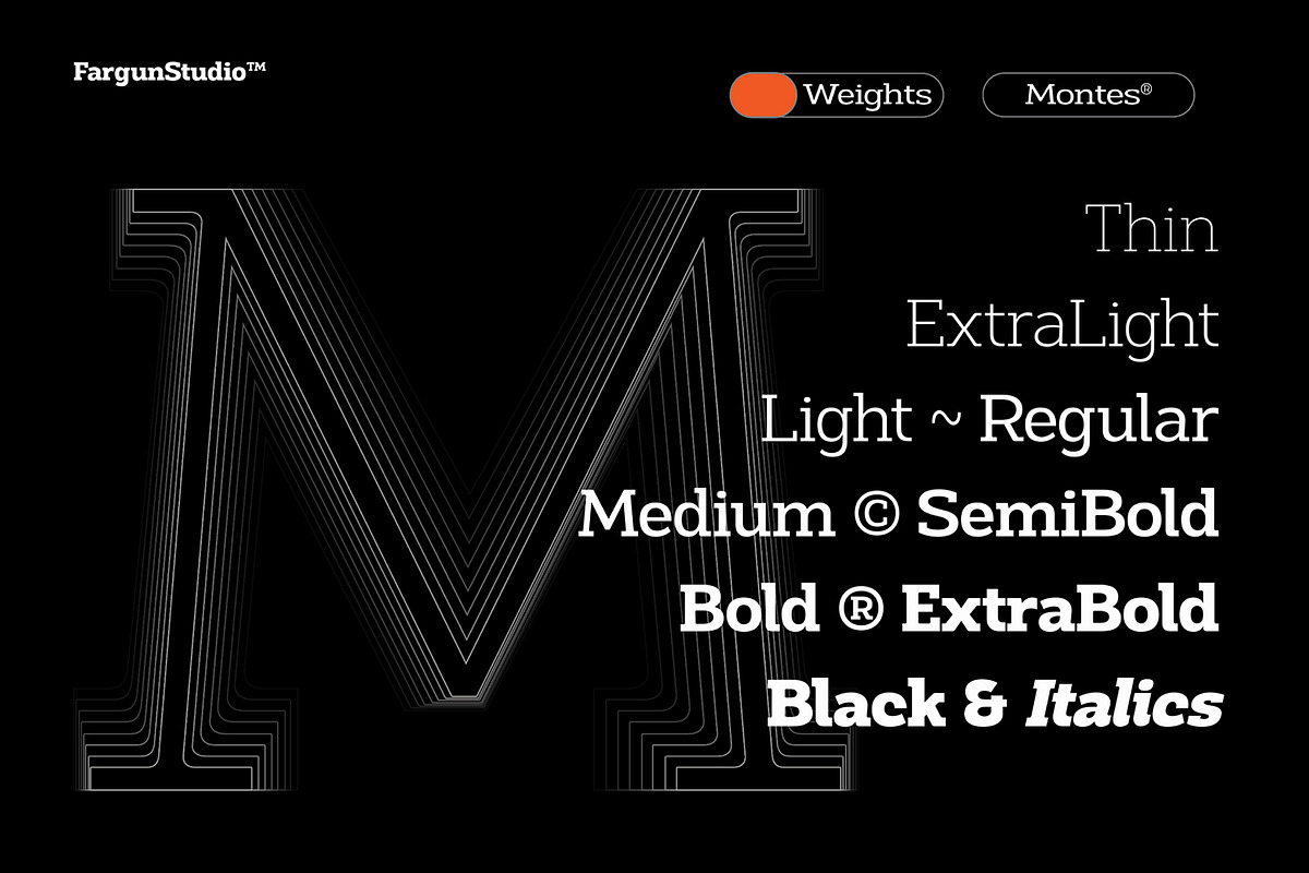 Montes Slab Family, a Slab Serif Font by Fargun Studio (Photo 4 of 15)
