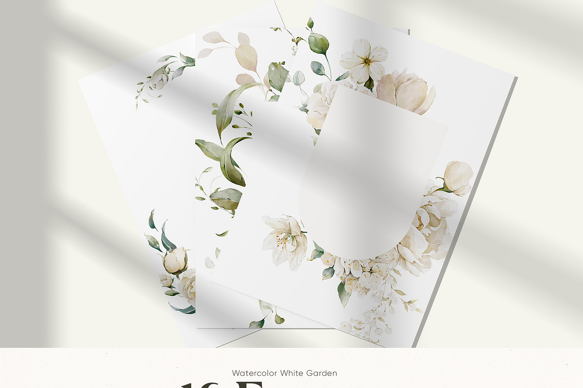 Watercolor White Flowers Collection, a Decorative Illustration by Damian Roh (Photo 8 of 16)