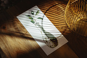 Artisan Pottery Ceramics Collection, an Object Illustration by foxsong (Thumbnail 6 of 13)
