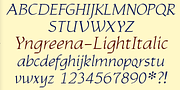 Yngreena, a Serif Font by Ingrimayne Type (Thumbnail 4 of 6)