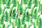 Tropical. Watercolor patterns., a Pattern Graphic by Anyuka (Thumbnail 4 of 10)