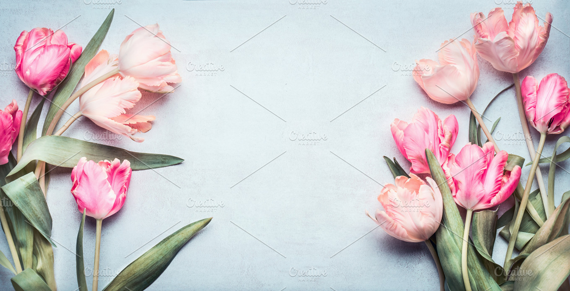 Tulips in pink pastel color, a Nature Photo by VICUSCHKA