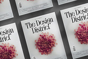 SLTF BOXROOM - Modern Serif Typeface, a Serif Font by SilverStag Type Foundry (Thumbnail 7 of 30)