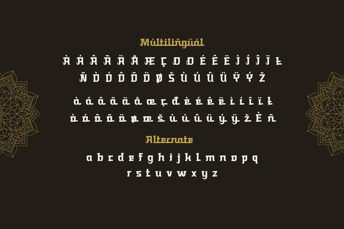 Rikafu, a Serif Font by twinstd (Photo 11 of 12)