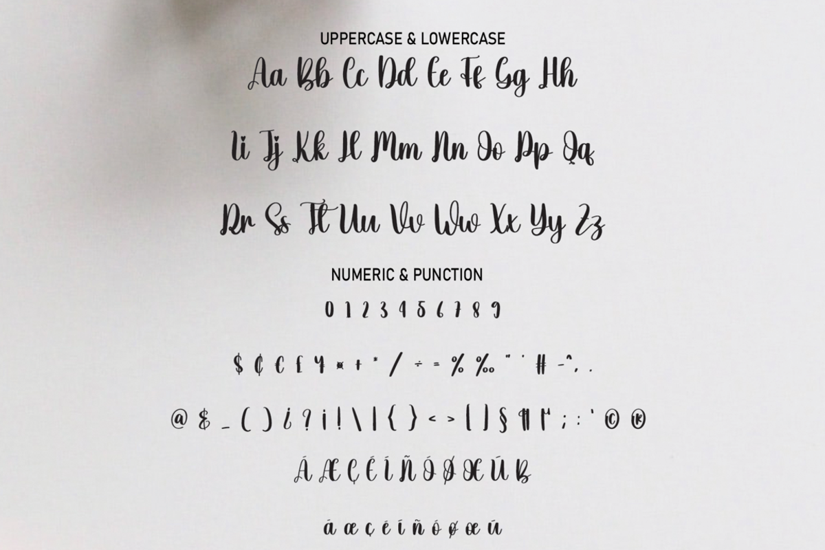 Future | Script Font, a Script Font by Scratchones (Photo 4 of 8)