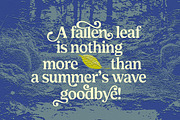 Shelian, a Serif Font by Seniors (Thumbnail 11 of 15)