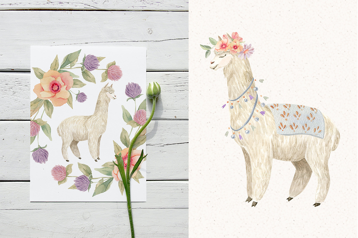 Llama Farm Watercolor Clipart, an Animal Illustration by Julia M. Watercolor (Photo 8 of 14)