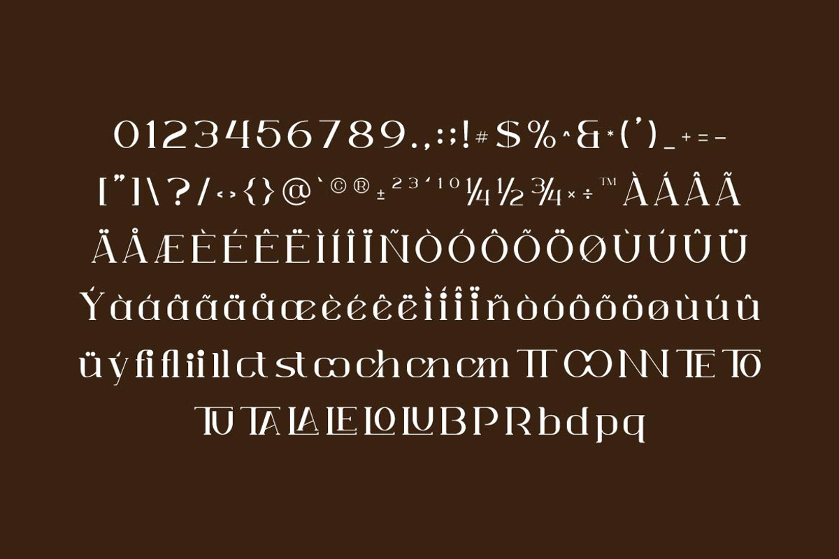Marquela Elegant Serif, a Serif Font by Artiveko (Photo 5 of 9)