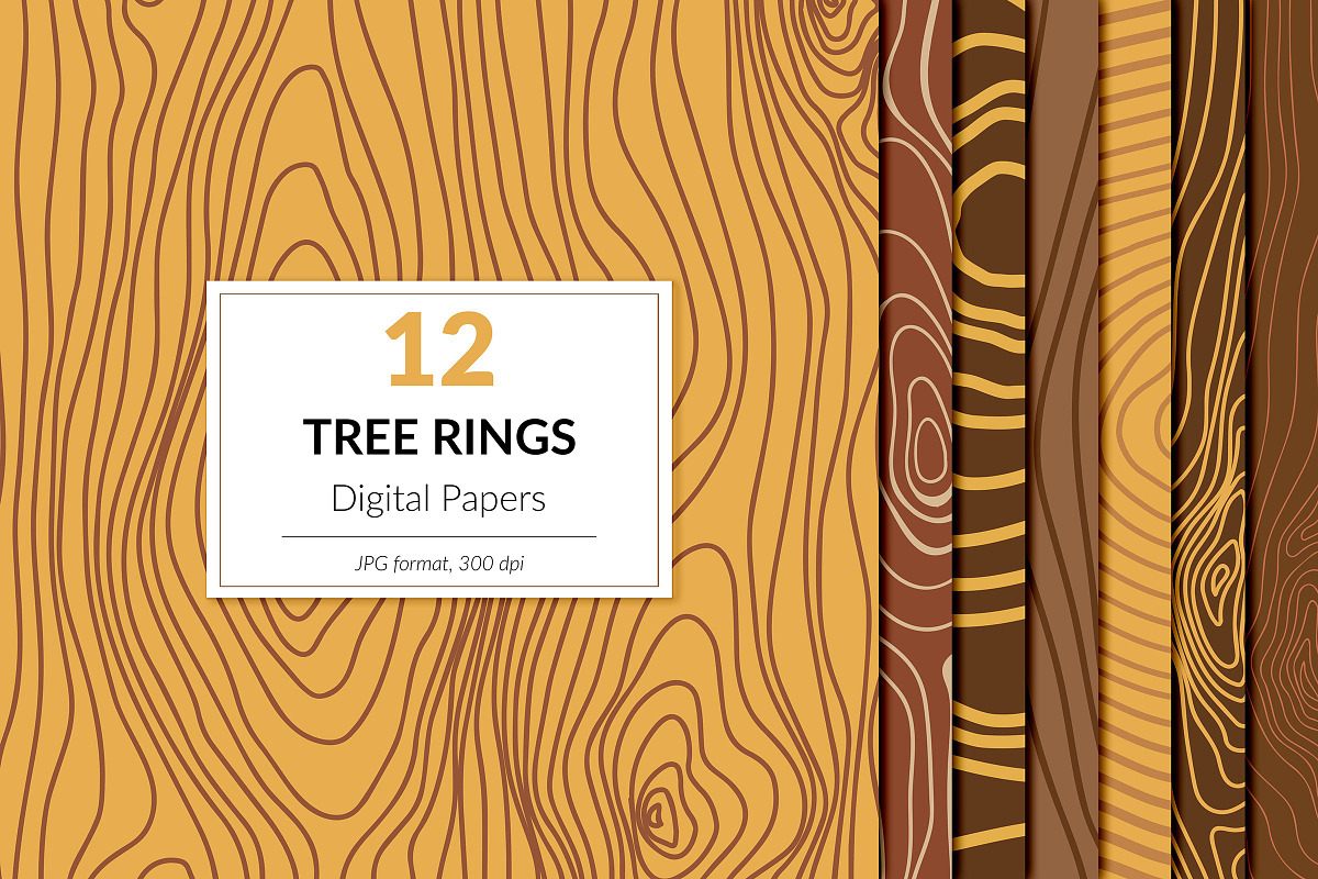 Tree Rings Digital Paper, a Background Graphic by Norse Studio (Photo 1 of 4)
