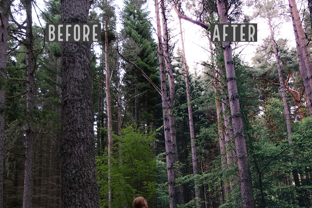 Lightroom Presets: Landscape preview 2