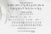 Dingbat | Script Font, a Handwritten Font by Scratchones (Thumbnail 7 of 9)