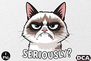 Funny Cat Seriously PNG, an Illustration by DreamCafeArt (Thumbnail 1 of 6)