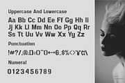 Pasfern De Micholin || Sans Serif, a Serif Font by Idea Studio (Thumbnail 5 of 5)