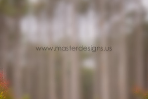Fine art digital texture stock photo containing master designs and photoshop