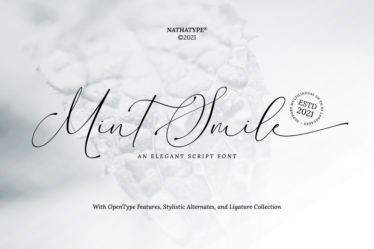 Mint Smiles, a Script Font by Nathatype (Photo 1 of 10)
