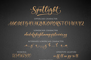 Spotlight, a Script Font by Byuly Ayika (Thumbnail 8 of 11)