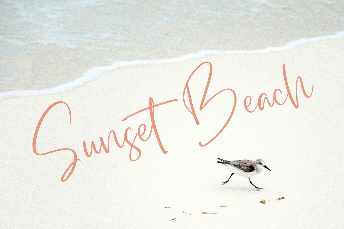 Dialog Sheila, a Script Font by Integritype Studio (Photo 3 of 11)