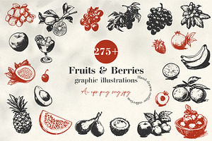 275+ Fruits & Berries Illustrations, a Food Illustration by La Petite Line Art