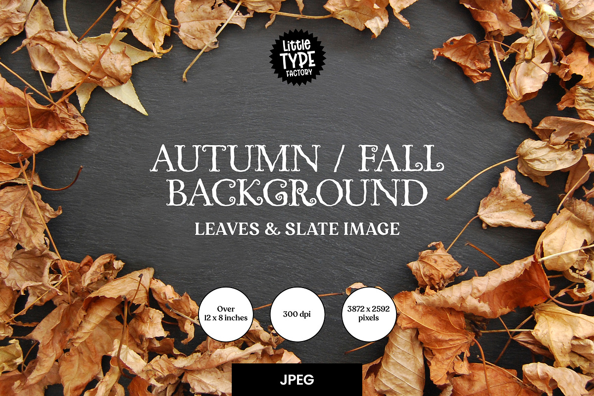 Autumn / Fall Background Image, a Nature Photo by Little Type Factory (Photo 1 of 2)