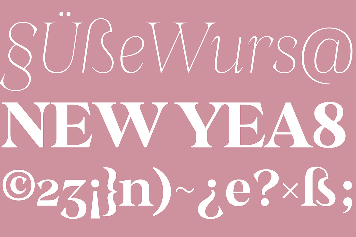Stability, a Serif Font by OceaneM (Photo 6 of 7)