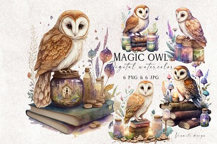 Magic owl and old books