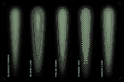 Certified Joints - PS Actions Bundle, an Action Add-On by bangingjoints (Thumbnail 42 of 54)