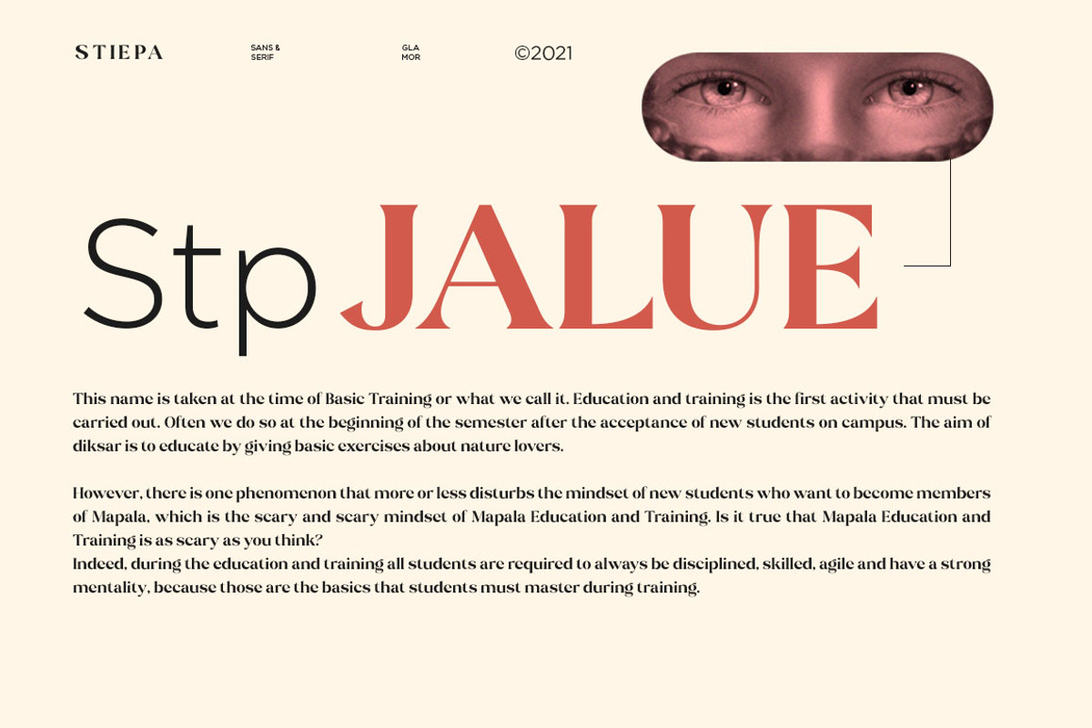 Stiepa | Modern Serif & Sans, a Serif Font by Dora Typefoundry (Photo 14 of 28)