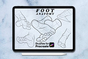 100 foots anatomy procreate brushes, a Brush Add-On by Arts For Peace (Thumbnail 7 of 7)