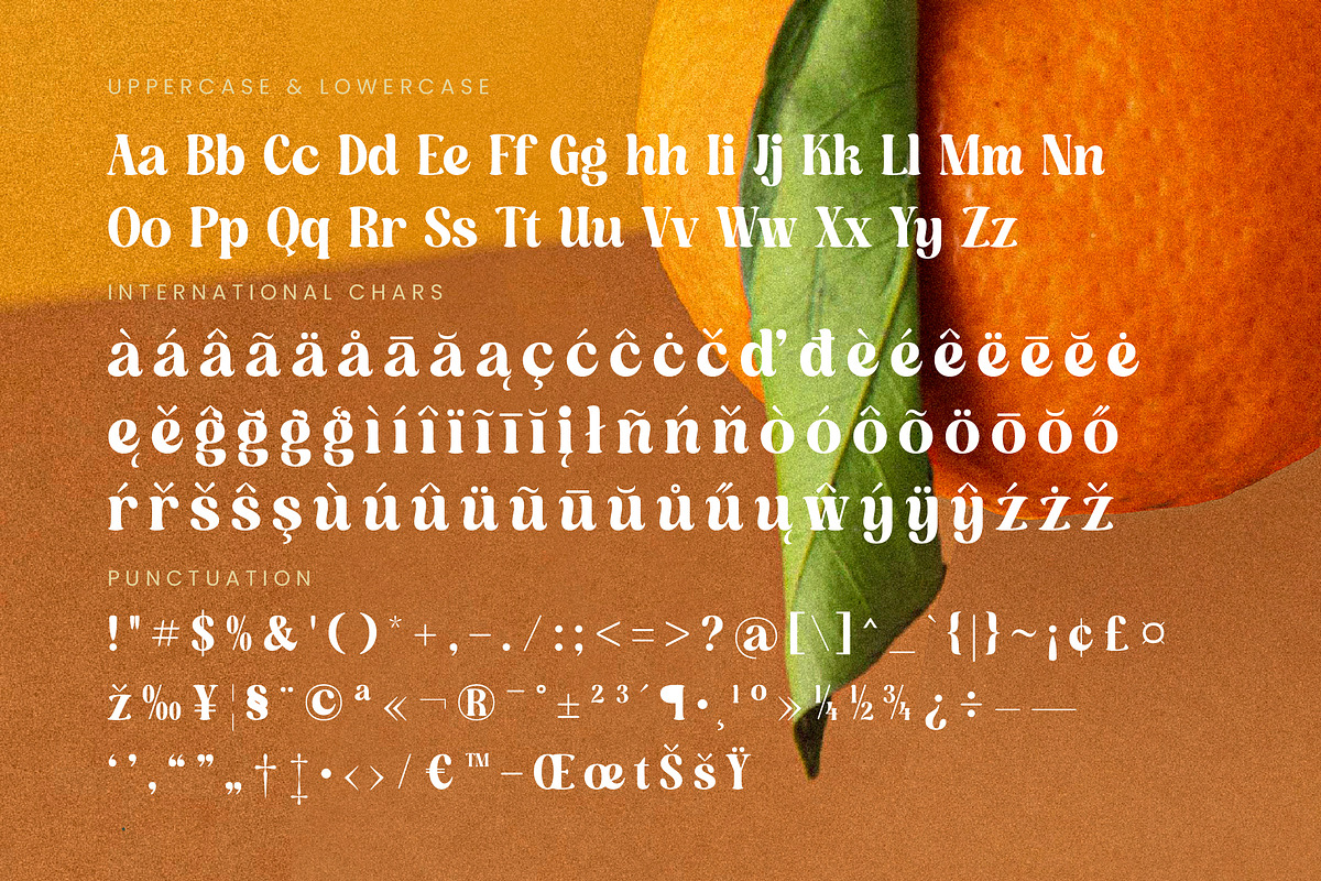 Dusty Brothe Groovy Serif Display, a Serif Font by timelesstype.co (Photo 19 of 20)