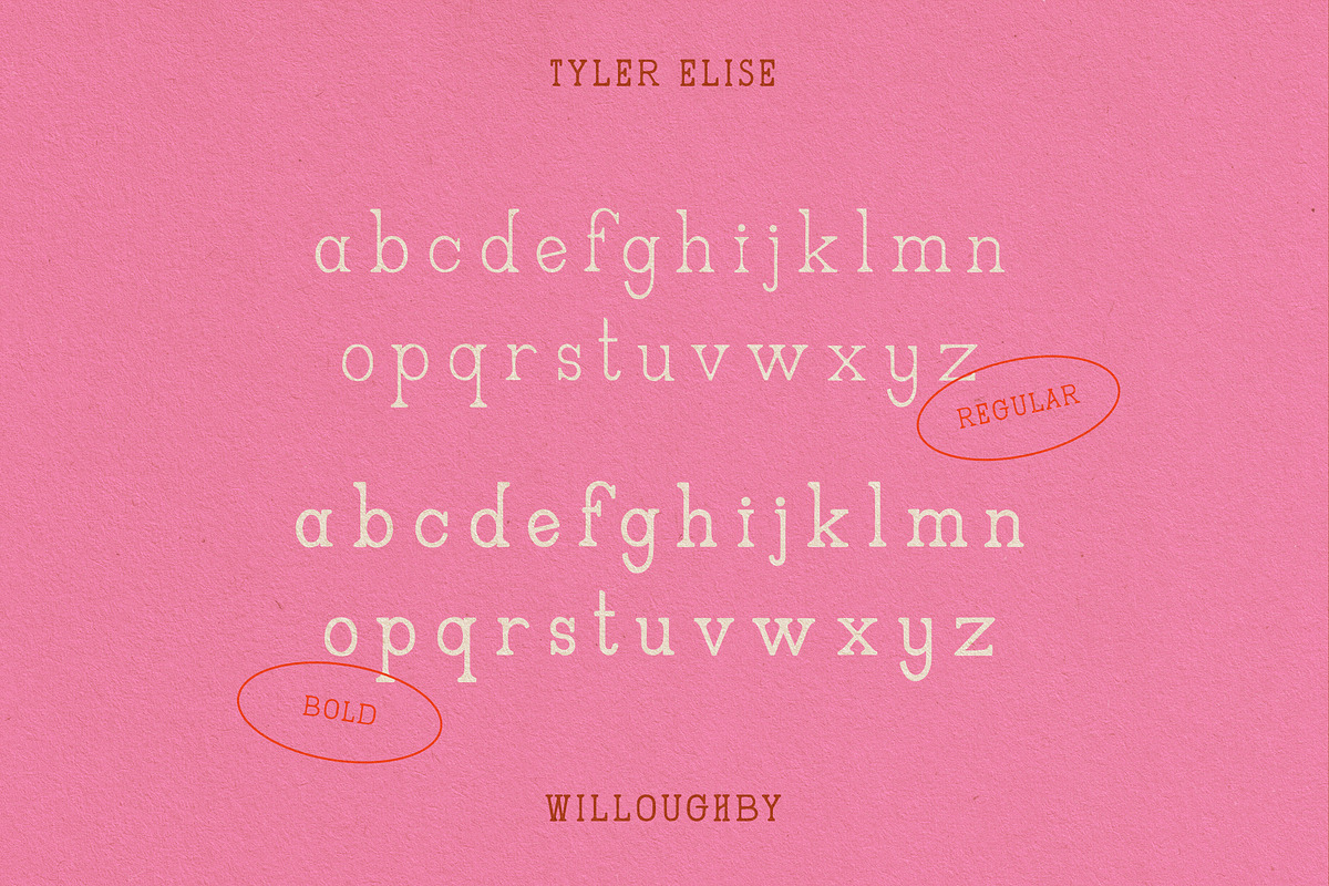 WILLOUGHBY by Tyler Elise, a Serif Font by tylerelise (Photo 5 of 7)
