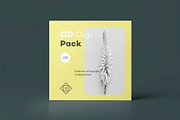 CD Digi Pack Mock-up, a Product Mockup by zippypixelstudio (Thumbnail 2 of 16)