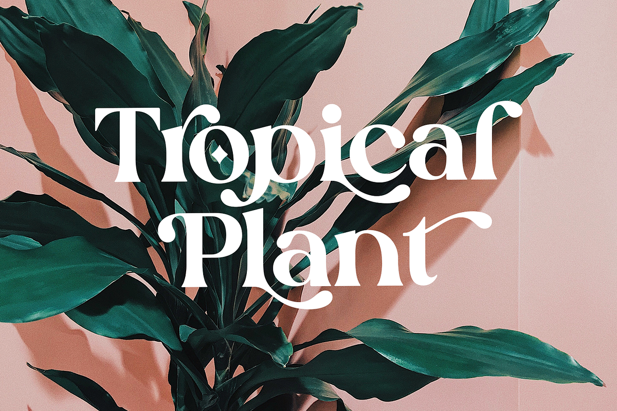 Silk Flower - Modern Serif, a Serif Font by Megi Satyo Widodo (Photo 17 of 26)