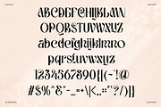 Castela - Elegant Luxury Sans Font, a Sans Serif Font by Font Liner (Thumbnail 9 of 10)