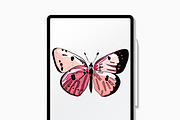 Butterflies clipart watercolor, an Animal Illustration by ElladesignCo (Thumbnail 3 of 6)