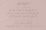 Wellyon Script signature, a Script Font by alit design (Thumbnail 5 of 15)
