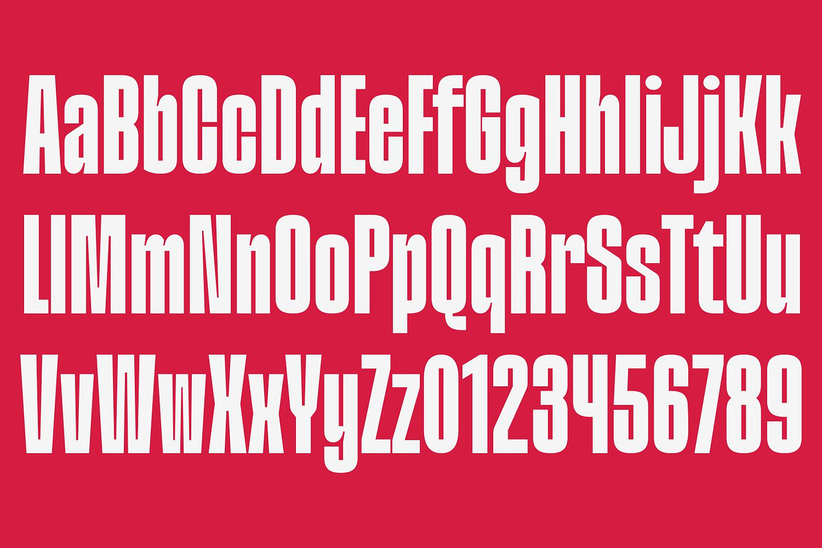Division Grotesk Font Family, a Sans Serif Font by Asenbayu (Photo 9 of 15)