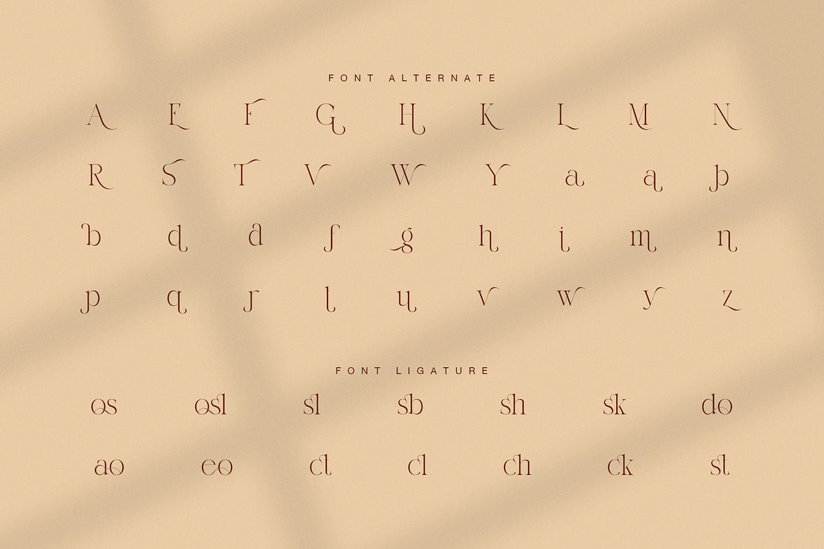 Roslia Elegant Ligature Serif Font, a Serif Font by Graphicxell (Photo 8 of 8)